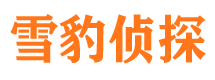 解放市私家侦探